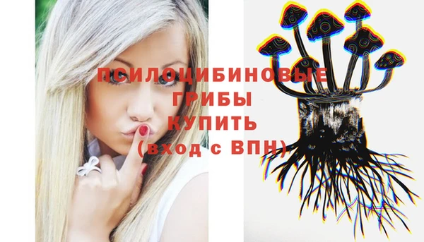 тгк Ладушкин