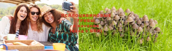 spice Абинск