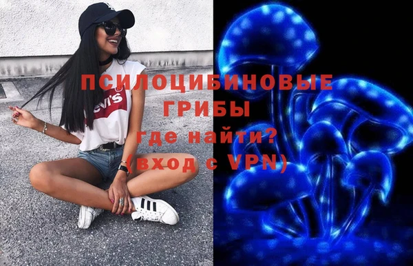 сатива Лабытнанги