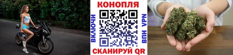 Конопля LSD WEED Полтавская